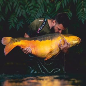 Historie Grála – Szőke Róbert